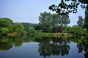https://2fwwaw.4000500521.com//upimg/seot/t20161104172420419.jpg
