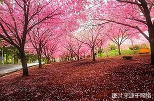 https://2fwwaw.4000500521.com//upimg/seot/t20161219142324159.jpg