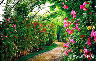 https://2fwwaw.4000500521.com//upimg/seot/t20161219154823264.jpg